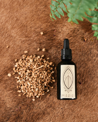 Astragalus Tincture